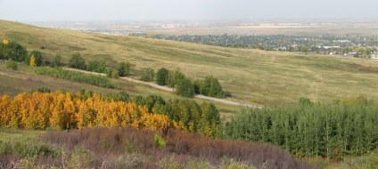Nose-hill-view3